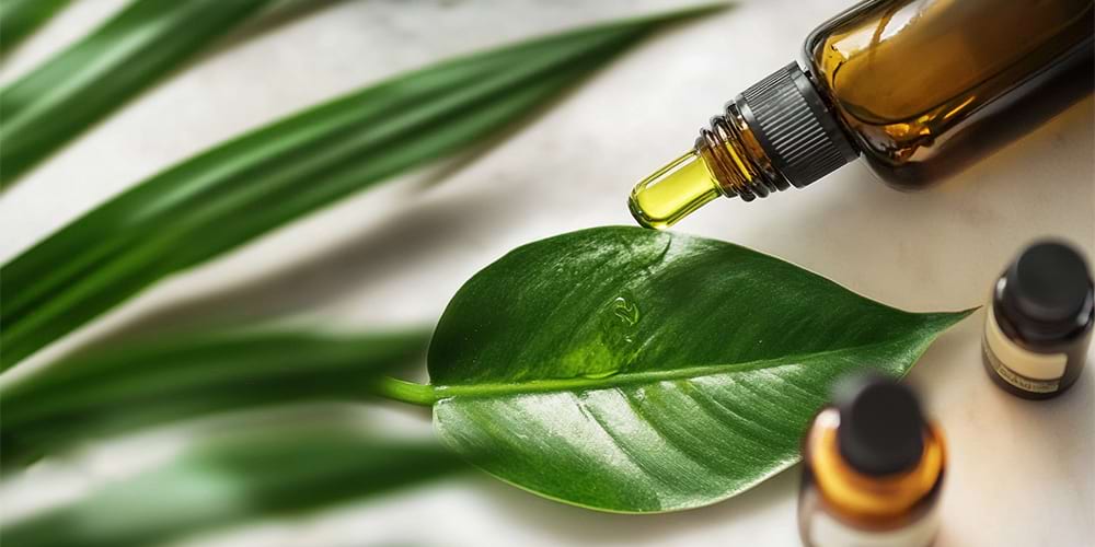 Natural-Organic-Ingredient-System (1)
